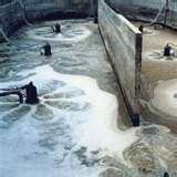 Pictures of Sewage Pumps Distributors