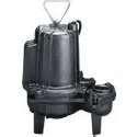 Simer Sewage Pump Model 2961 Images